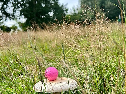 Golfclub Wolfsburg / Boldecker Land e.V.